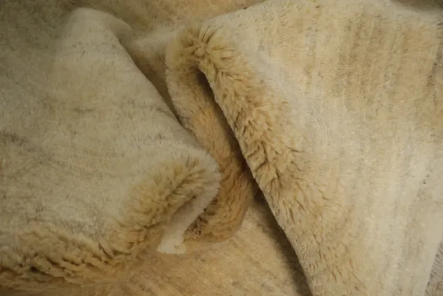 https://image-static-obj.rugsource.com/small/32726_3414865_7073eb06.jpeg