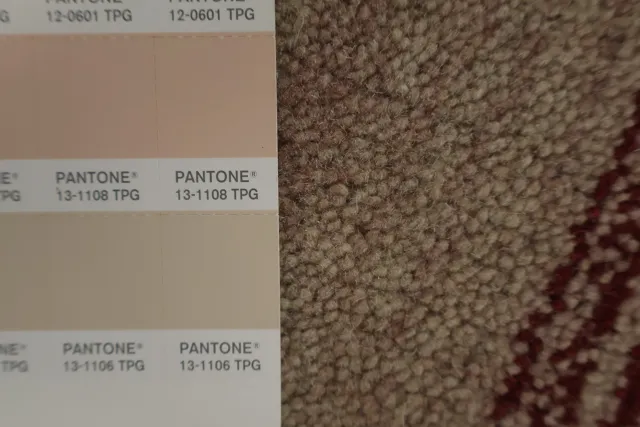 https://image-static-obj.rugsource.com/small/50886_3180148_7eda9602.jpeg