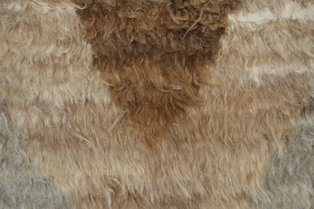 https://image-static-obj.rugsource.com/small/52097_3258111_b97397d7.jpeg