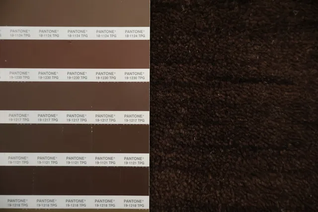 https://image-static-obj.rugsource.com/small/532_3178036_2d0e3b83.jpeg