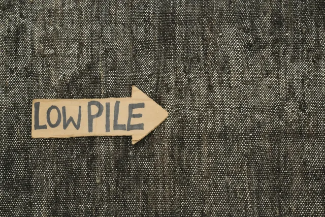 https://image-static-obj.rugsource.com/small/53945_3426705_dc49bc46.jpeg