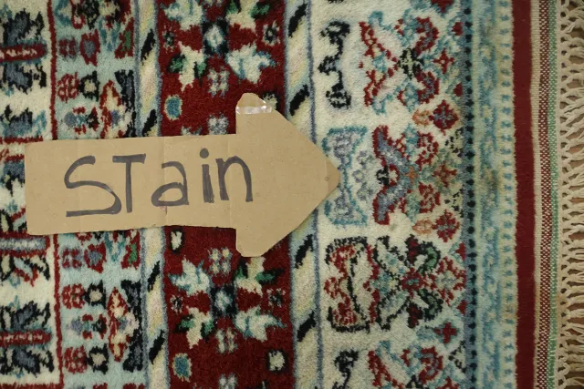 https://image-static-obj.rugsource.com/small/54550_3396783_badad42f.jpeg
