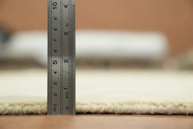 https://image-static-obj.rugsource.com/small/55905_3422296_d09c302c.jpeg