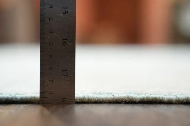 https://image-static-obj.rugsource.com/small/59518_3279964_470145ac.jpeg