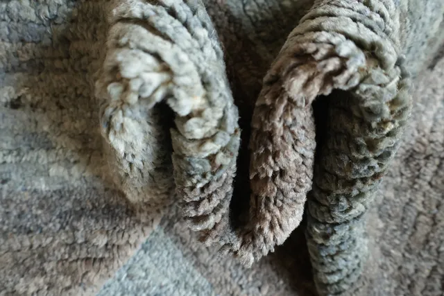 https://image-static-obj.rugsource.com/small/61699_3294534_e18fe0c8.jpeg