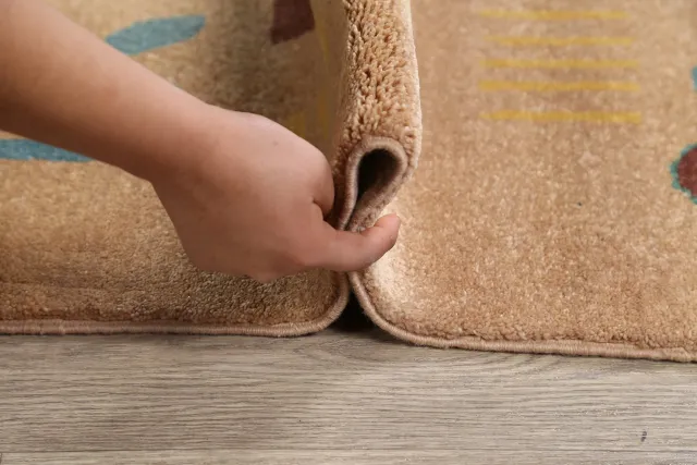 https://image-static-obj.rugsource.com/small/61721_1200873_a6738654.jpeg