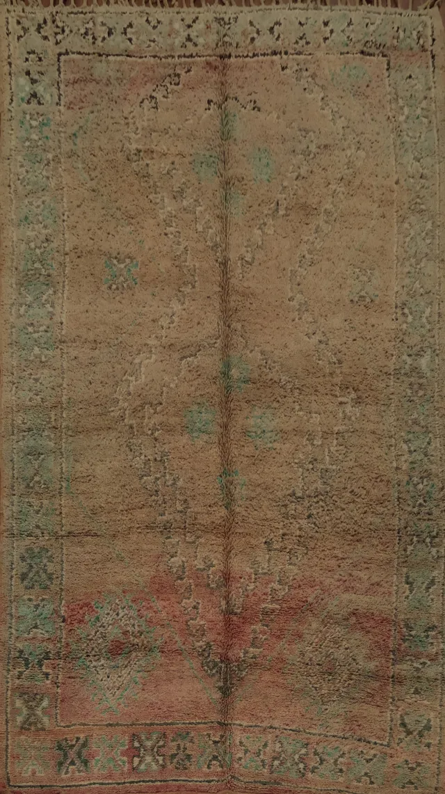 https://image-static-obj.rugsource.com/small/61874_3168017_db877a14.jpeg