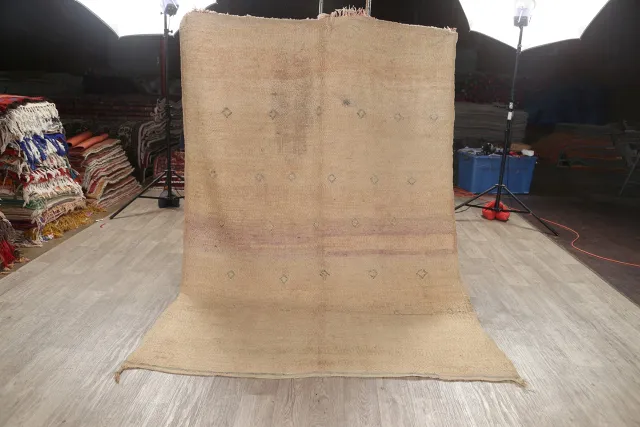 https://image-static-obj.rugsource.com/small/61892_1211167_7949515a.jpeg