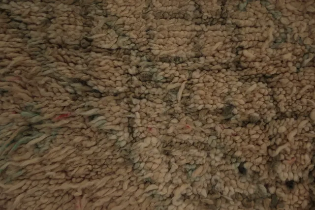 https://image-static-obj.rugsource.com/small/62112_3167732_6db66336.jpeg