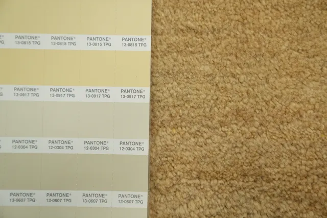 https://image-static-obj.rugsource.com/small/62775_3260737_fbf342f7.jpeg