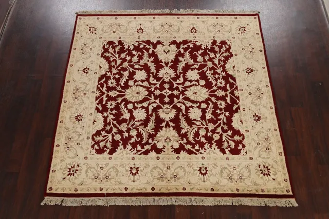 https://image-static-obj.rugsource.com/small/65883_1288105_a85ee4fa.jpeg