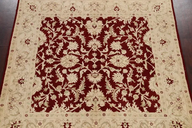 https://image-static-obj.rugsource.com/small/65883_1288106_d9361cb7.jpeg