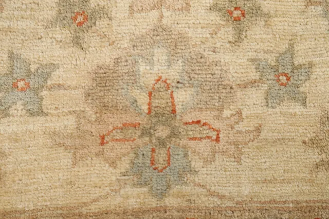 https://image-static-obj.rugsource.com/small/66150_1295278_1ab26ff0.jpeg