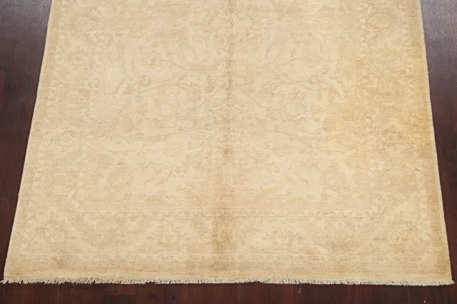 https://image-static-obj.rugsource.com/small/66251_1297349_3369d2c8.jpeg