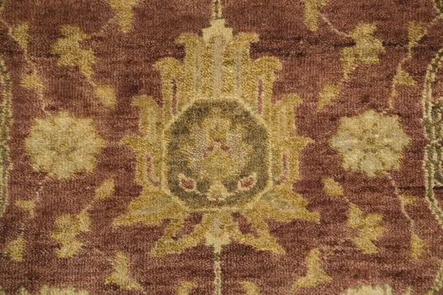 https://image-static-obj.rugsource.com/small/66339_3391224_6c6cd0ea.jpeg