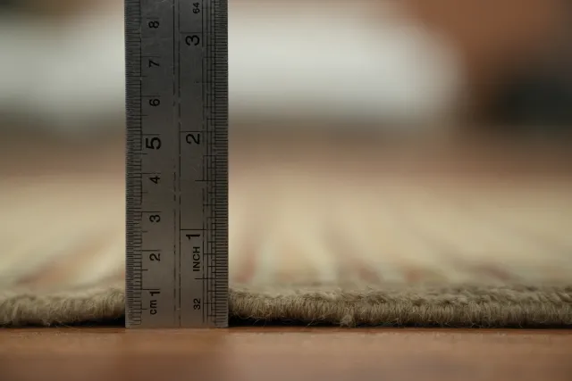 https://image-static-obj.rugsource.com/small/67781_3274277_5d7c3730.jpeg
