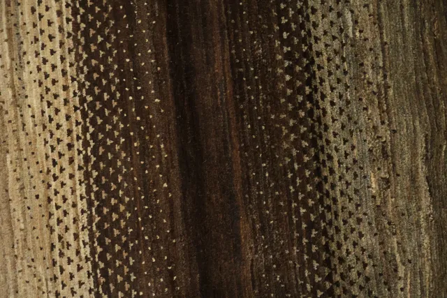 https://image-static-obj.rugsource.com/small/68482_3397355_dd8d6345.jpeg