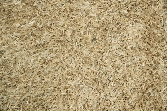 https://image-static-obj.rugsource.com/small/72118_3377320_b82ccaf4.jpeg