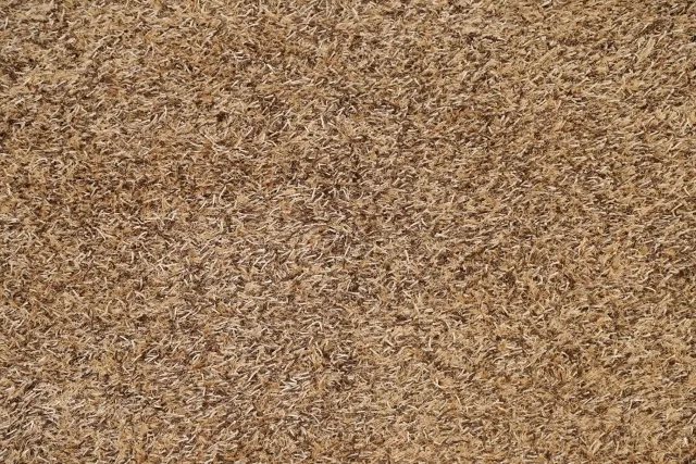 https://image-static-obj.rugsource.com/small/72123_1435703_a04471de.jpeg