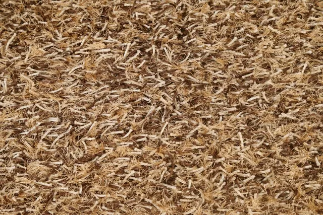 https://image-static-obj.rugsource.com/small/72123_1435707_909d1fba.jpeg