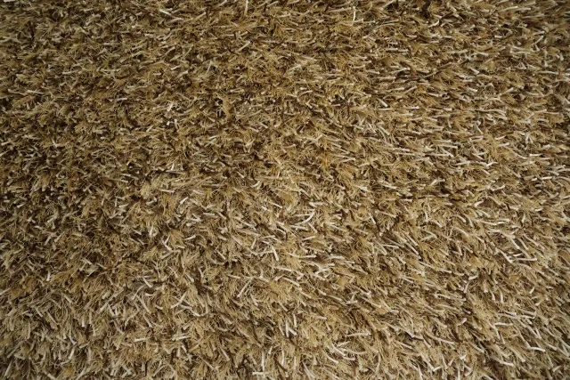 https://image-static-obj.rugsource.com/small/72123_3489262_8e7ddcd7.jpeg