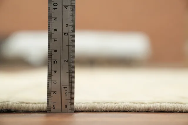 https://image-static-obj.rugsource.com/small/76798_3438135_33ae37b9.jpeg