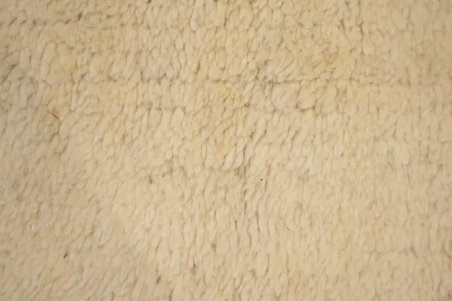 https://image-static-obj.rugsource.com/small/77265_3415747_f4fc3fed.jpeg