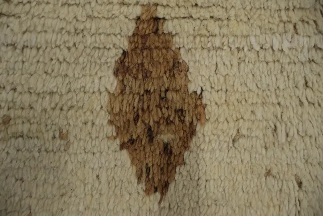 https://image-static-obj.rugsource.com/small/77575_3151900_88114903.jpeg