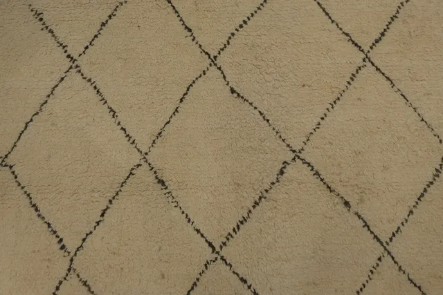 https://image-static-obj.rugsource.com/small/77950_3332638_315976be.jpeg