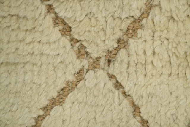 https://image-static-obj.rugsource.com/small/78157_3253856_a3e047d8.jpeg