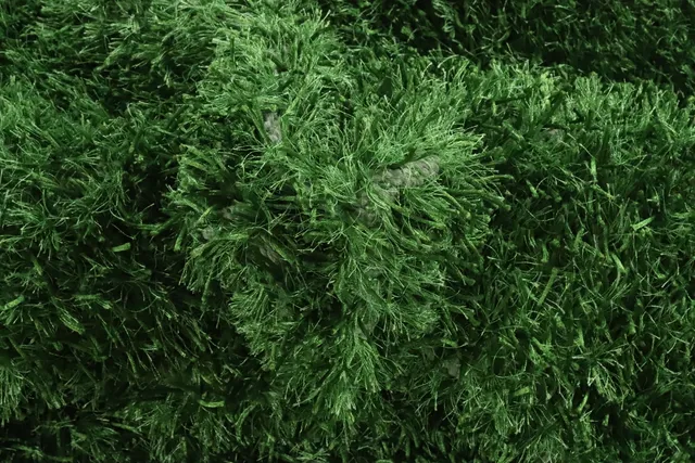 https://image-static-obj.rugsource.com/small/783_2966862_71f12bc6.jpeg