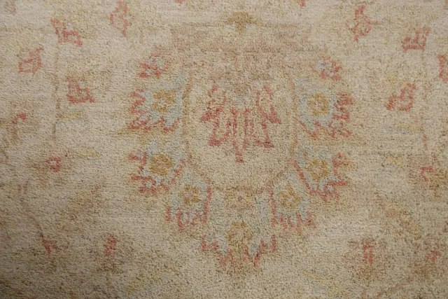 https://image-static-obj.rugsource.com/small/78525_1550838_d1b1f553.jpeg