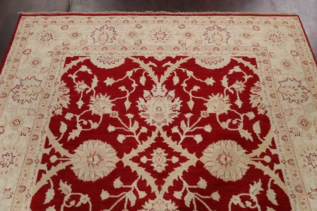 https://image-static-obj.rugsource.com/small/78531_1550963_fc40bc05.jpeg