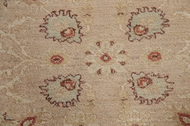 https://image-static-obj.rugsource.com/small/78537_1551082_59d3f2de.jpeg