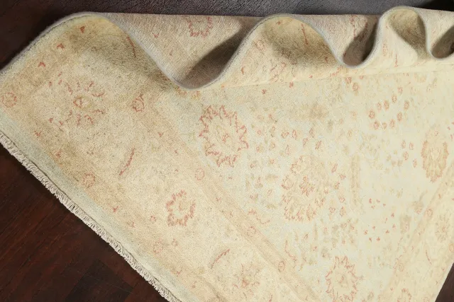 https://image-static-obj.rugsource.com/small/78559_1551421_8d25044a.jpeg