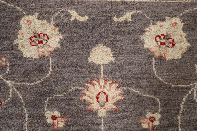 https://image-static-obj.rugsource.com/small/78563_1551494_9ff4b05d.jpeg