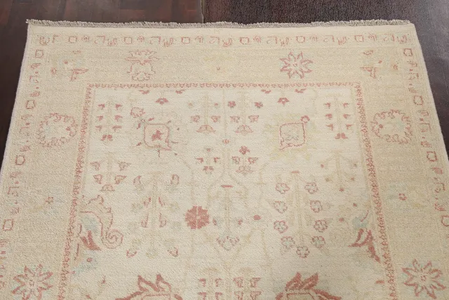 https://image-static-obj.rugsource.com/small/78573_1551688_49fcc201.jpeg