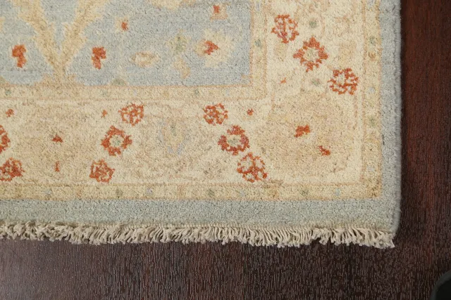 https://image-static-obj.rugsource.com/small/78609_1552091_97dc4b7c.jpeg