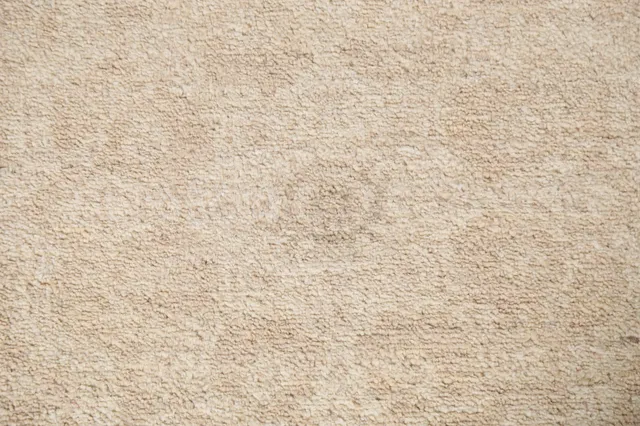 https://image-static-obj.rugsource.com/small/78633_1552858_0dfee416.jpeg