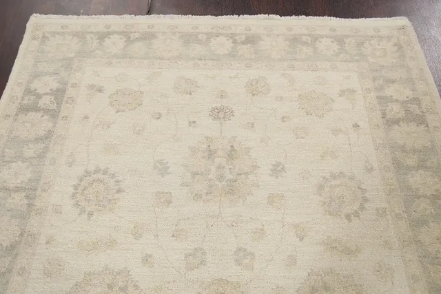 https://image-static-obj.rugsource.com/small/78662_1554117_69ea829c.jpeg