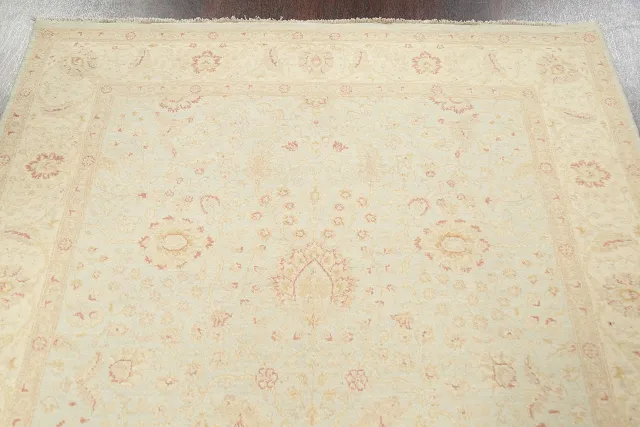 https://image-static-obj.rugsource.com/small/78695_1554809_83a91bd9.jpeg