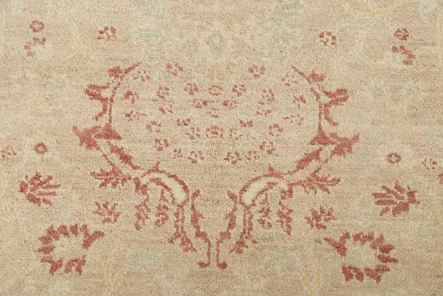https://image-static-obj.rugsource.com/small/78741_1555522_9fe4fbf4.jpeg