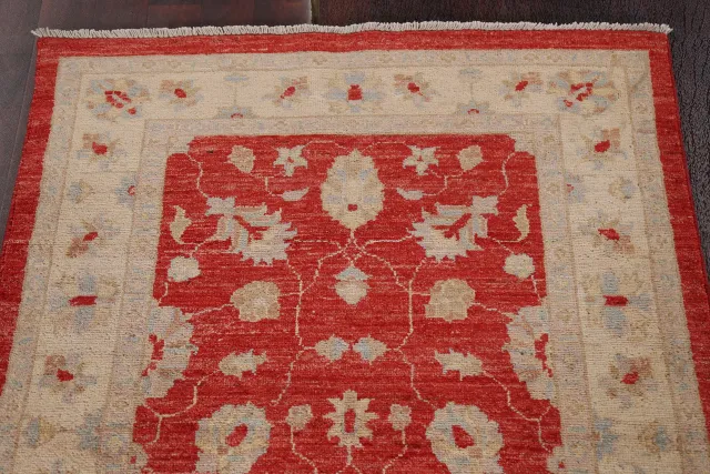 https://image-static-obj.rugsource.com/small/80431_1593643_d889d875.jpeg