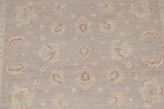 https://image-static-obj.rugsource.com/small/81164_1609341_70dbc536.jpeg