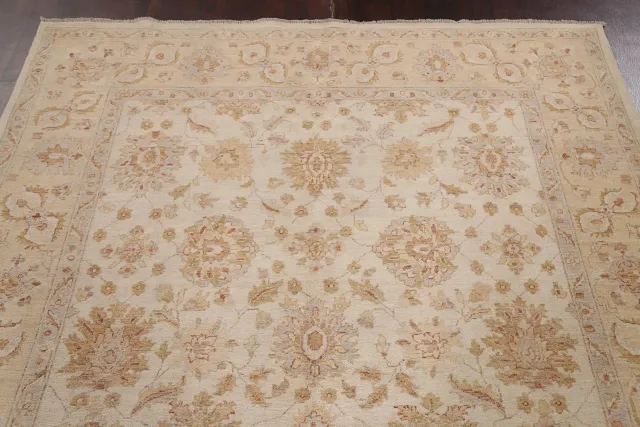 https://image-static-obj.rugsource.com/small/81462_1615462_5f967419.jpeg