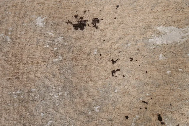 https://image-static-obj.rugsource.com/small/81699_1621137_b795e659.jpeg