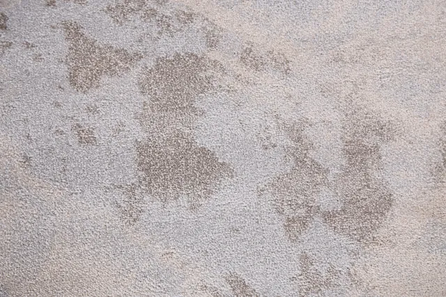 https://image-static-obj.rugsource.com/small/82631_1644957_0c4db1db.jpeg