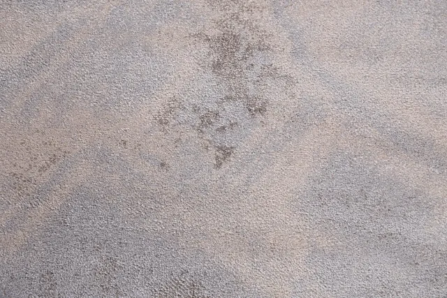 https://image-static-obj.rugsource.com/small/82631_1644958_b834164c.jpeg