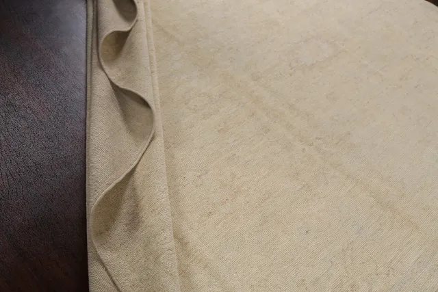https://image-static-obj.rugsource.com/small/83888_1660533_c28ee28a.jpeg