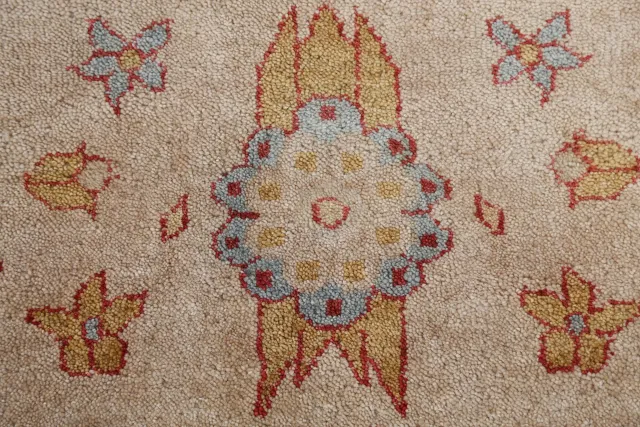 https://image-static-obj.rugsource.com/small/84676_1676586_01be1c76.jpeg